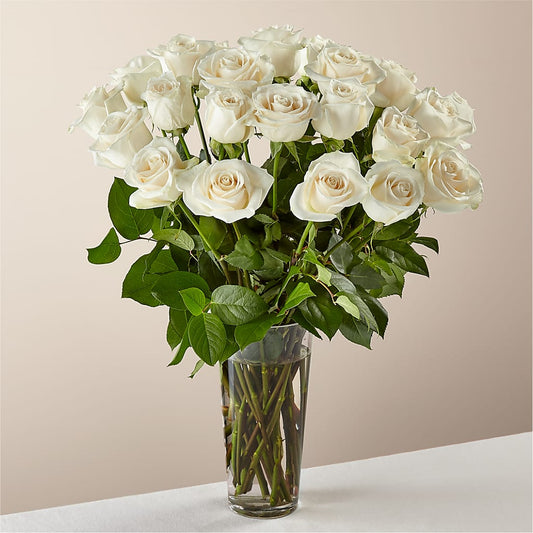 Long Stem White Rose Bouquet – Flowers By Marvin, Picton ON