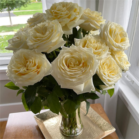 Long Stem Yellow Rose Bouquet – Flowers By Marvin, Picton ON