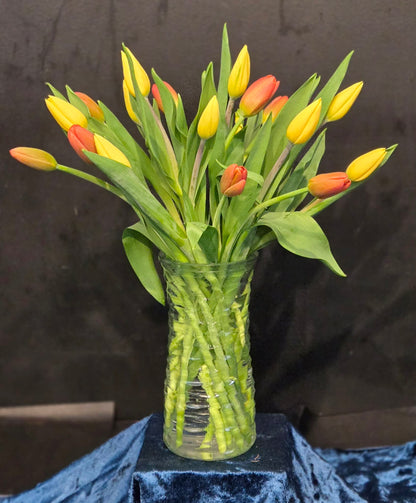 Tulip Time –  Flowers By Marvin, Picton ON