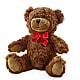 Adorable Plush Bear –  Flowers By Marvin, Picton ON