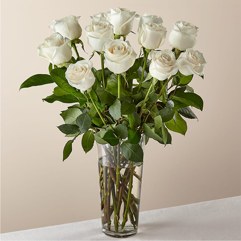 Long Stem White Rose Bouquet –  Flowers By Marvin, Picton ON