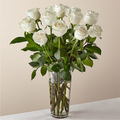 Long Stem White Rose Bouquet –  Flowers By Marvin, Picton ON