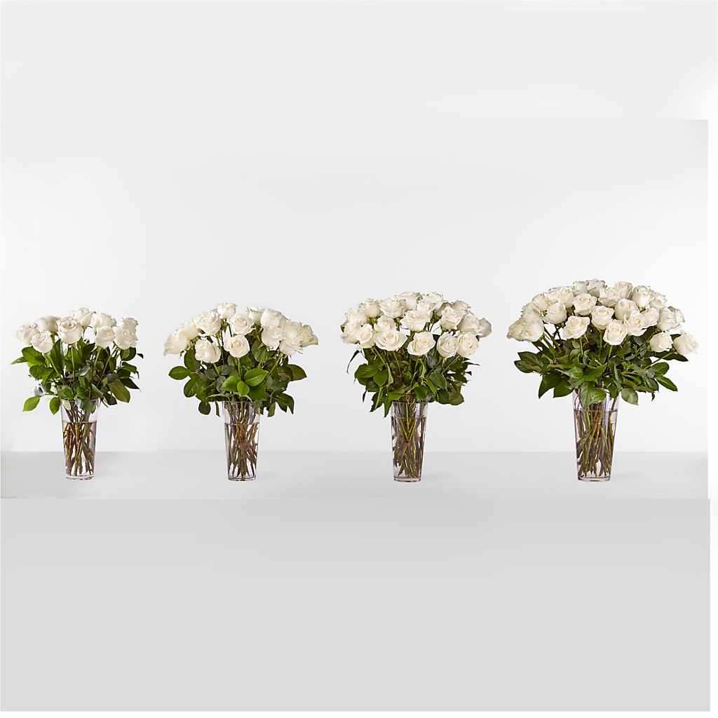 Long Stem White Rose Bouquet –  Flowers By Marvin, Picton ON