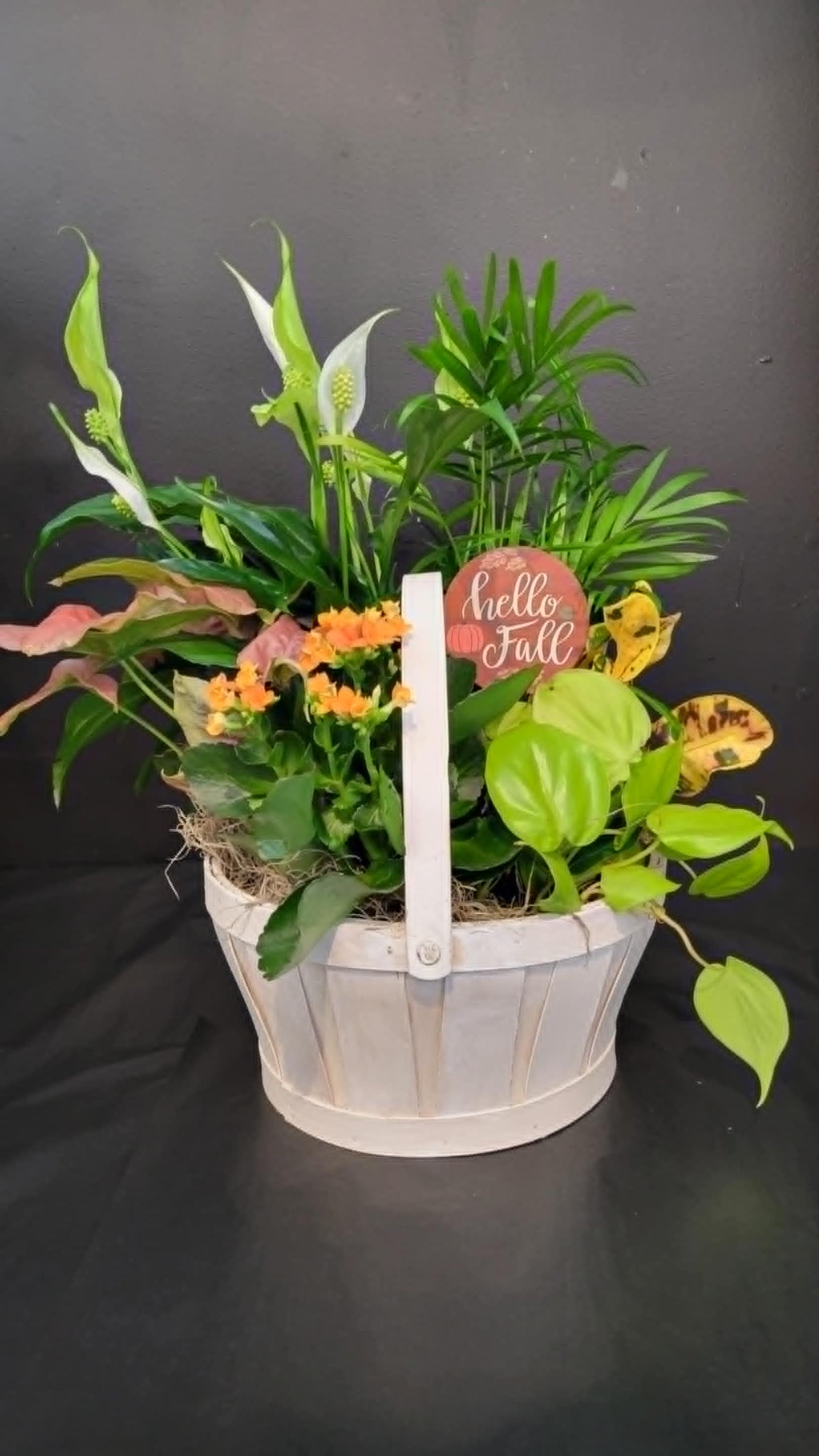 Autumn Mixed Planter