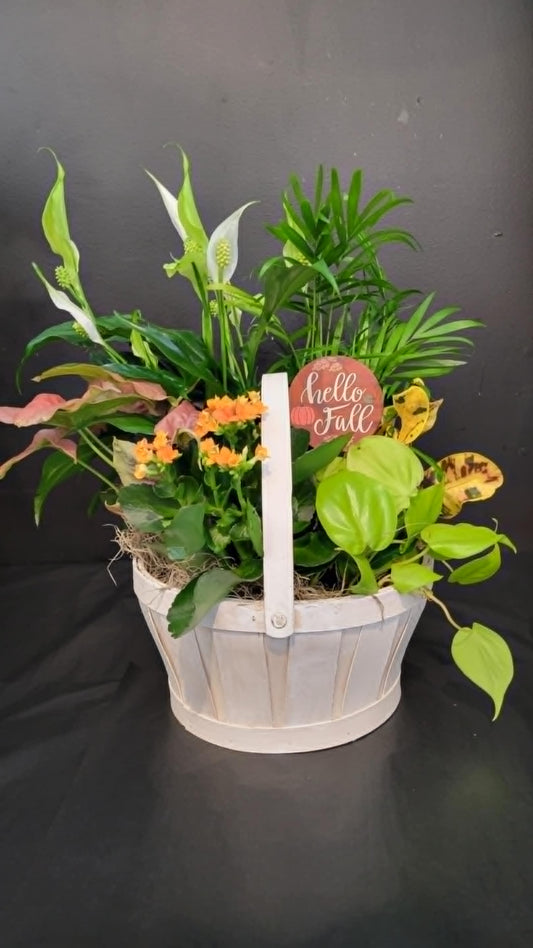 Autumn Mixed Planter