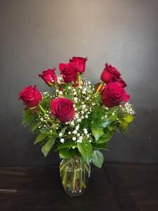 SUMMER SPECIAL, SAVE $25!